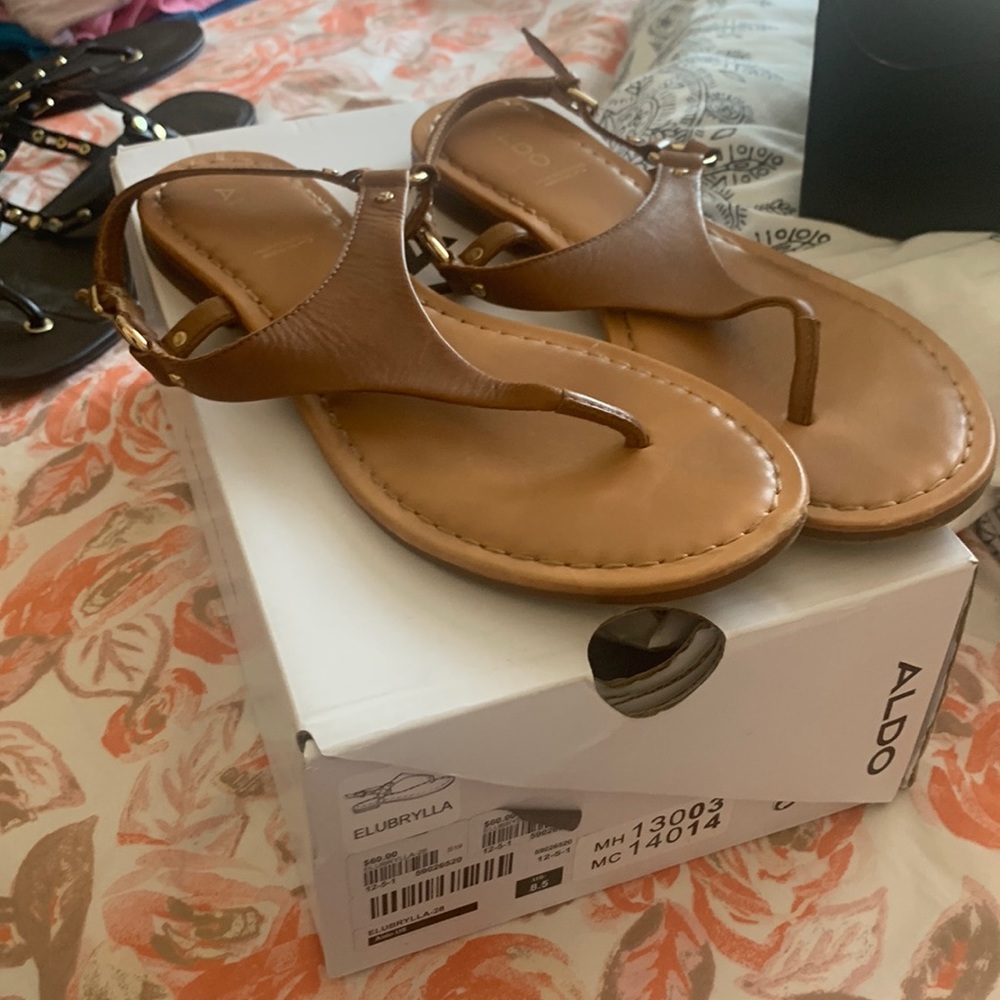 Aldo elubrylla sandal